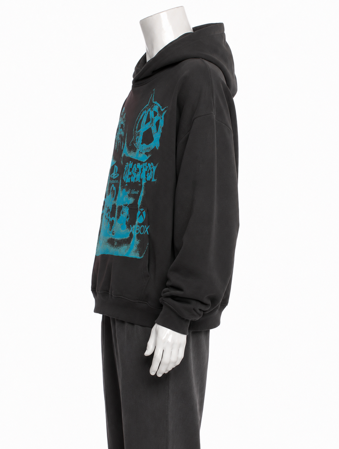 CONSUMED®
 /v2 heavyweight cotton hoodie